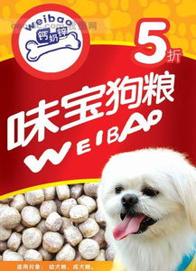 廣州印刷設(shè)計加工,食品廣告等宣傳單設(shè)計 價格 廠家 圖片
